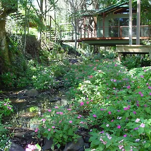 treetops-accommodation-montville.hotelssunshinecoast.net/
